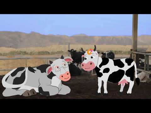 סרטי אנימציה